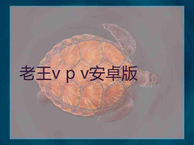 老王v p v安卓版