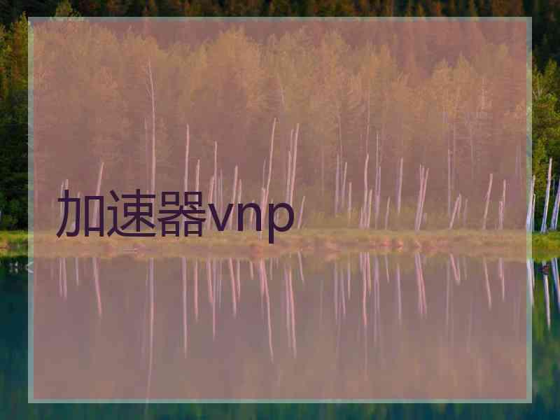 加速器vnp