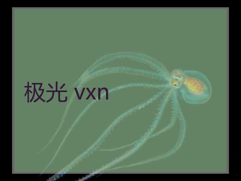 极光 vxn