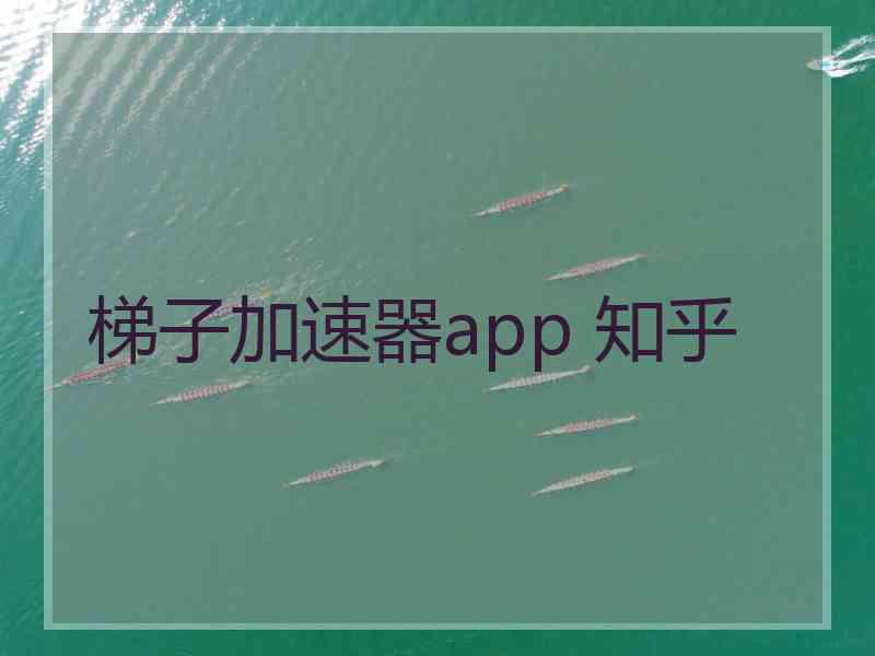 梯子加速器app 知乎