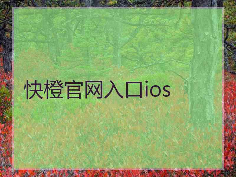 快橙官网入口ios