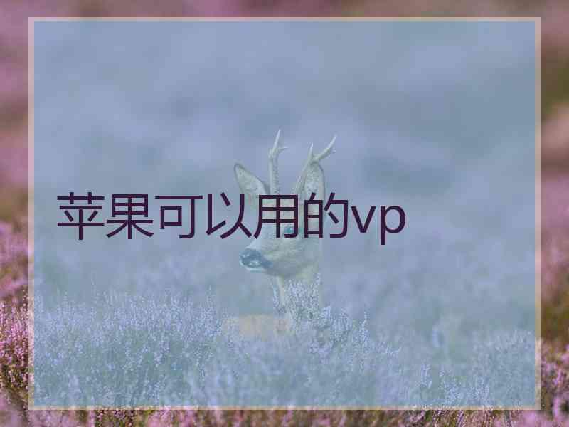 苹果可以用的vp