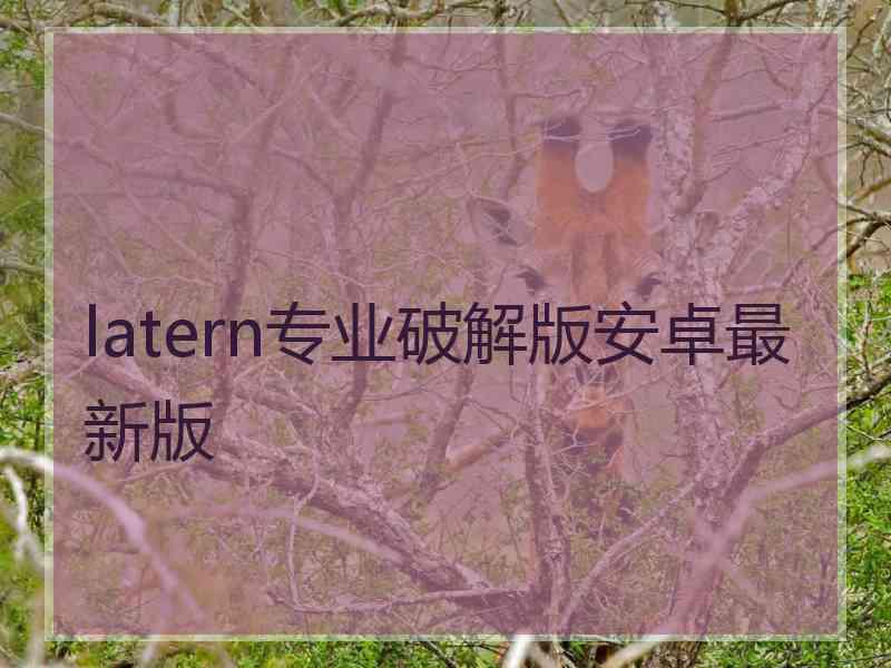 latern专业破解版安卓最新版