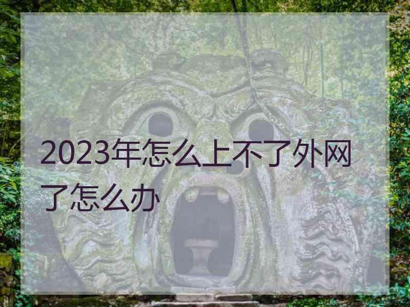 2023年怎么上不了外网了怎么办