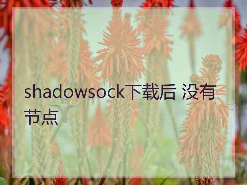 shadowsock下载后 没有节点