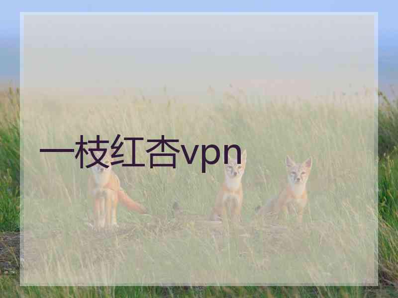 一枝红杏vpn