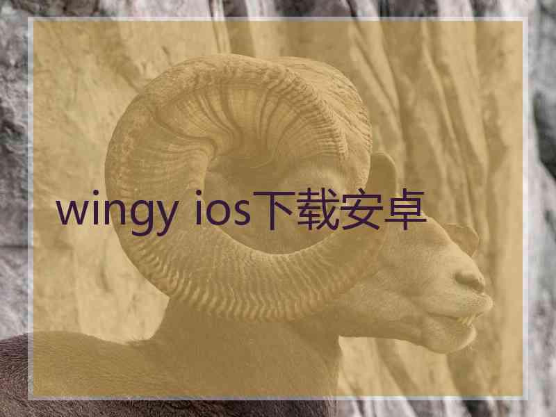 wingy ios下载安卓