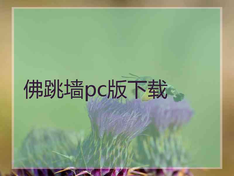 佛跳墙pc版下载