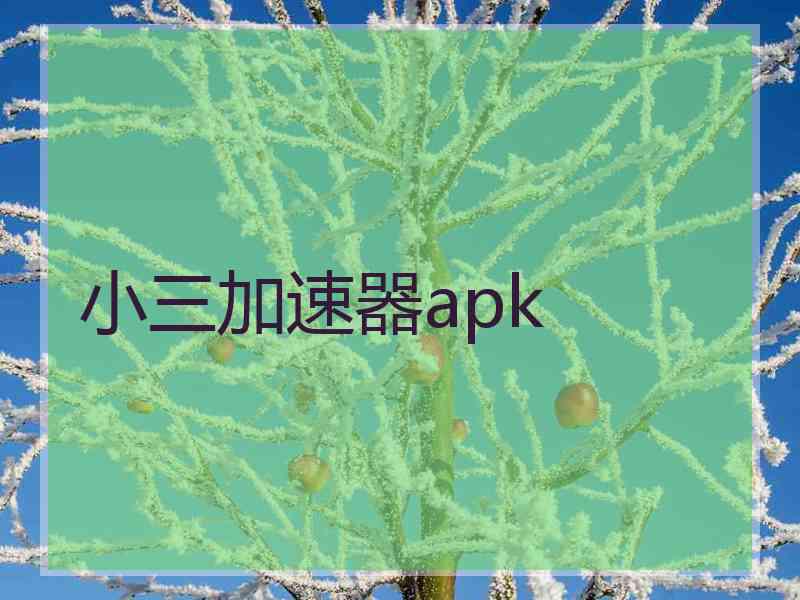 小三加速器apk