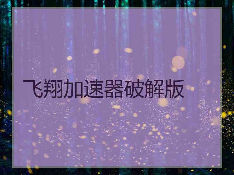 飞翔加速器破解版