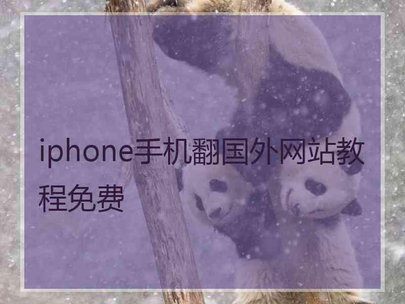 iphone手机翻国外网站教程免费