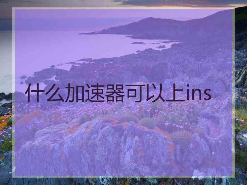 什么加速器可以上ins