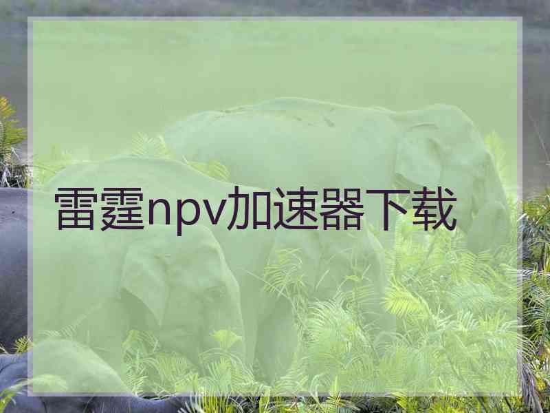 雷霆npv加速器下载